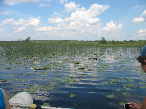 Ломчеозеро.